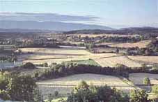 Pic: Provence valleys are full of nateral farming